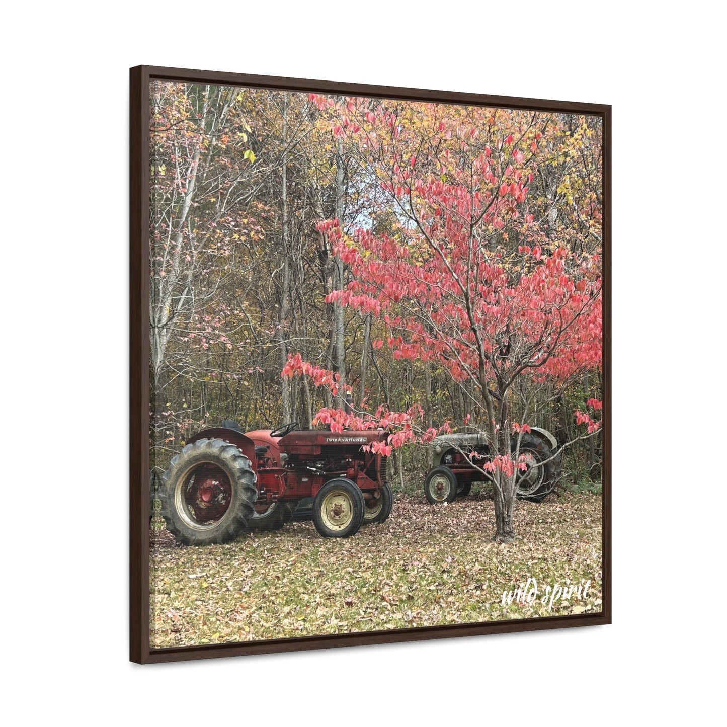 Canvas Wraps Tractors at Woodlands Edge