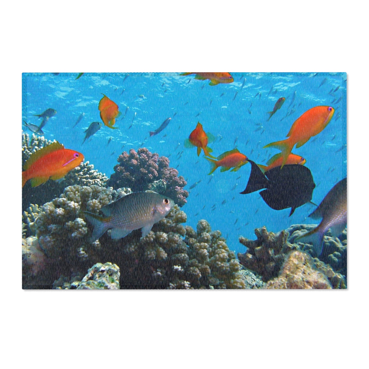 Underwater Aquatic Area Rug - Ocean Fish Design for Coastal Decor