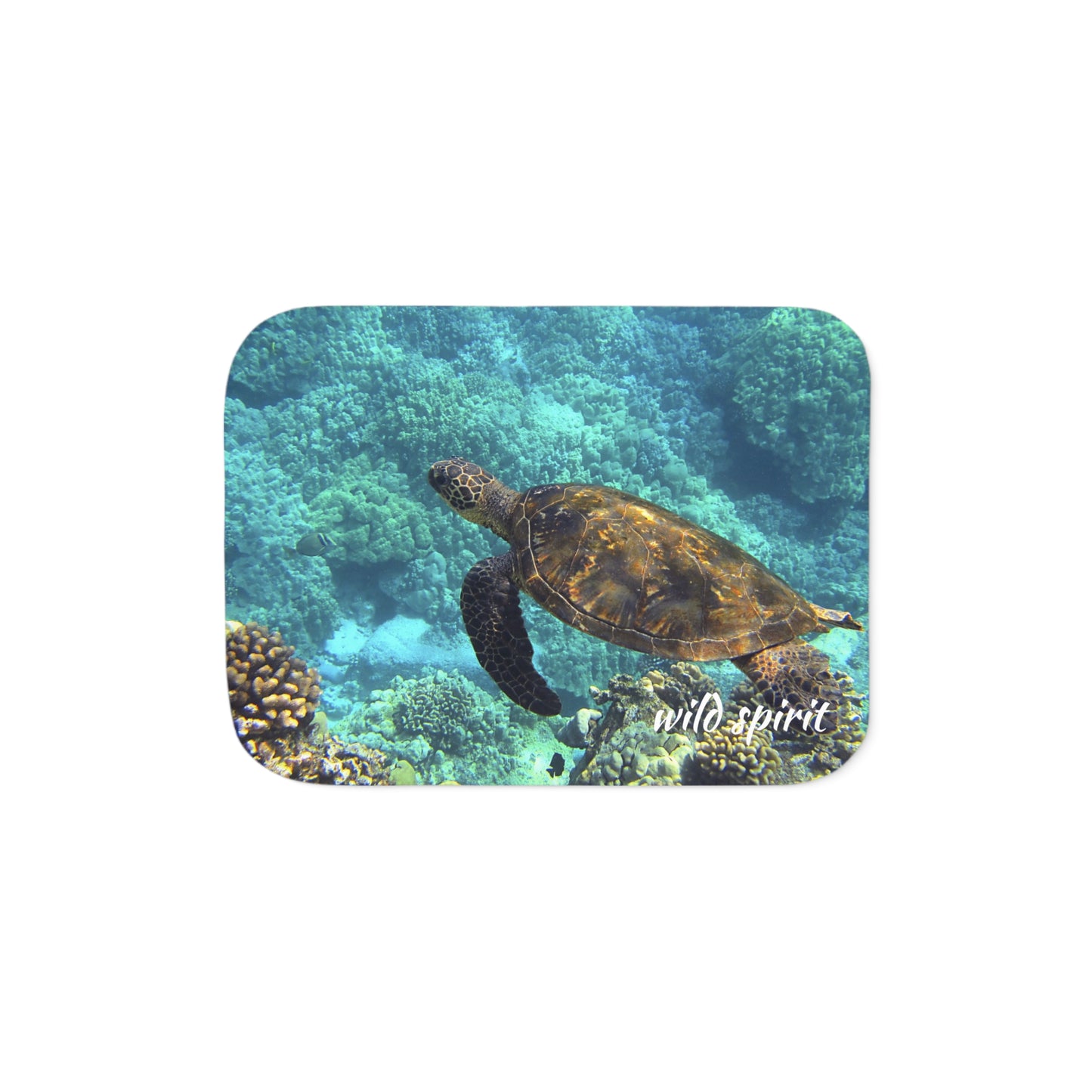 Sherpa Blanket, Sea Turtle Design