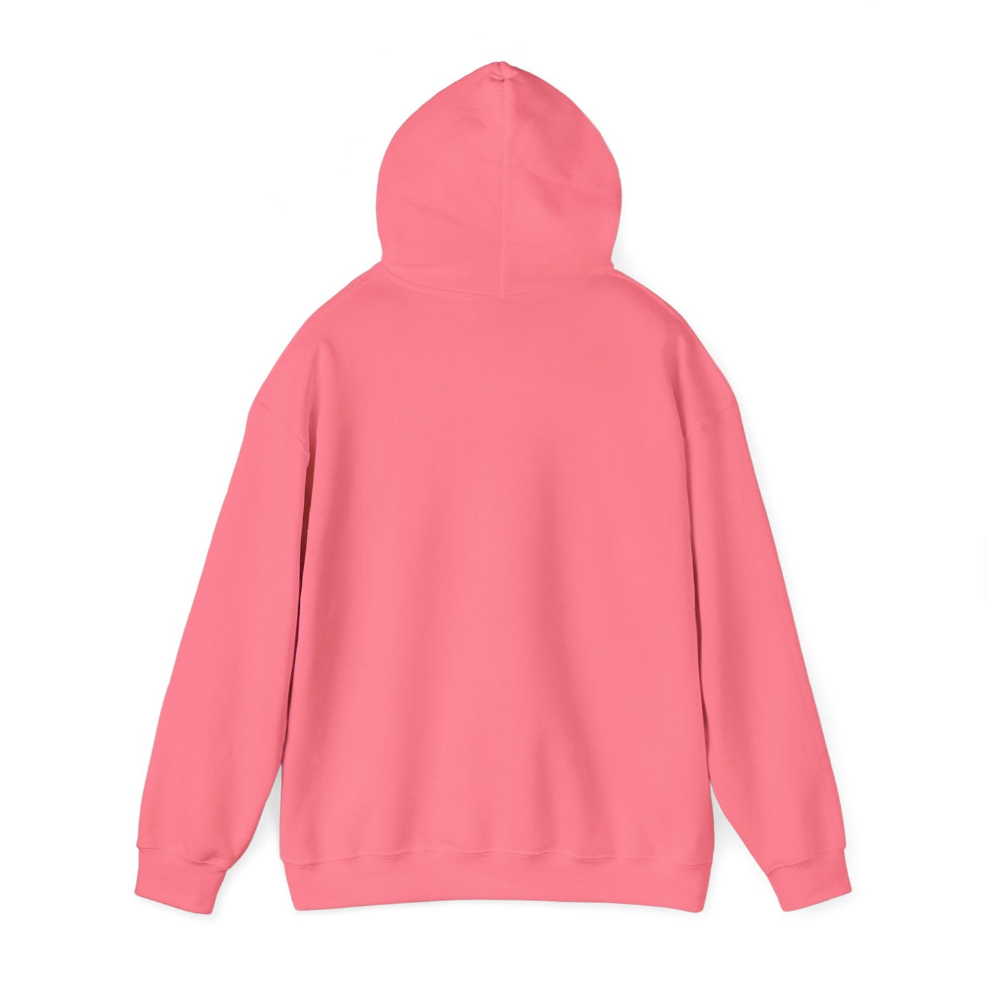 Mountain Paths - Hooded Sweatshirt