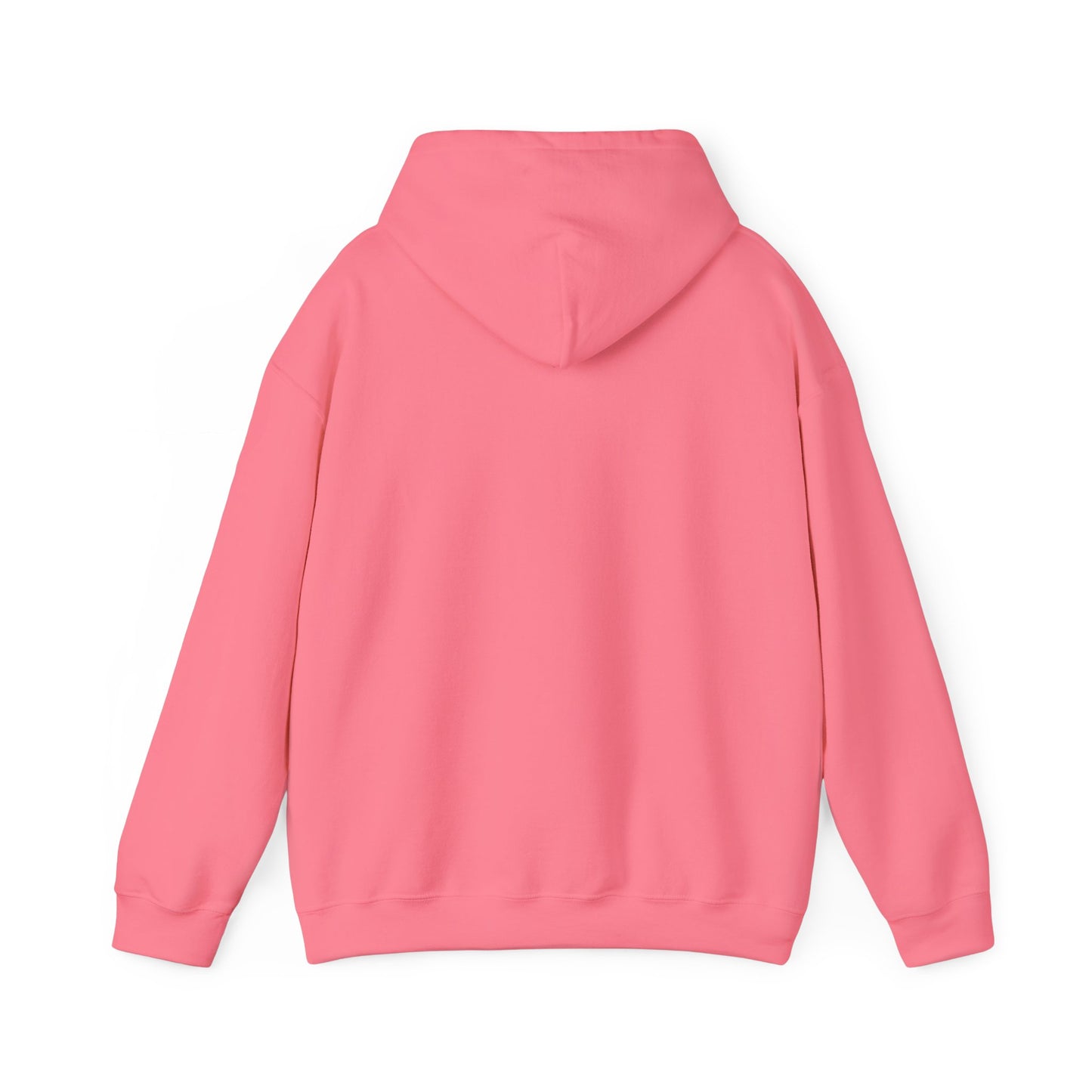 Mountain Paths - Hooded Sweatshirt