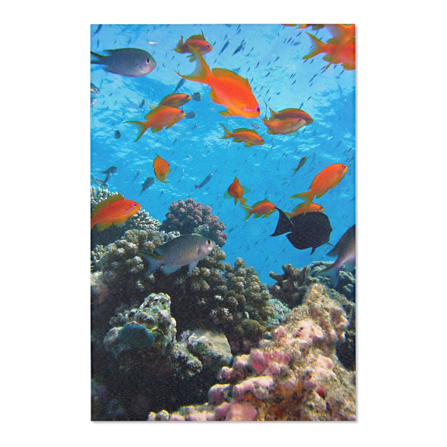 Underwater Aquatic Area Rug - Ocean Fish Design for Coastal Decor