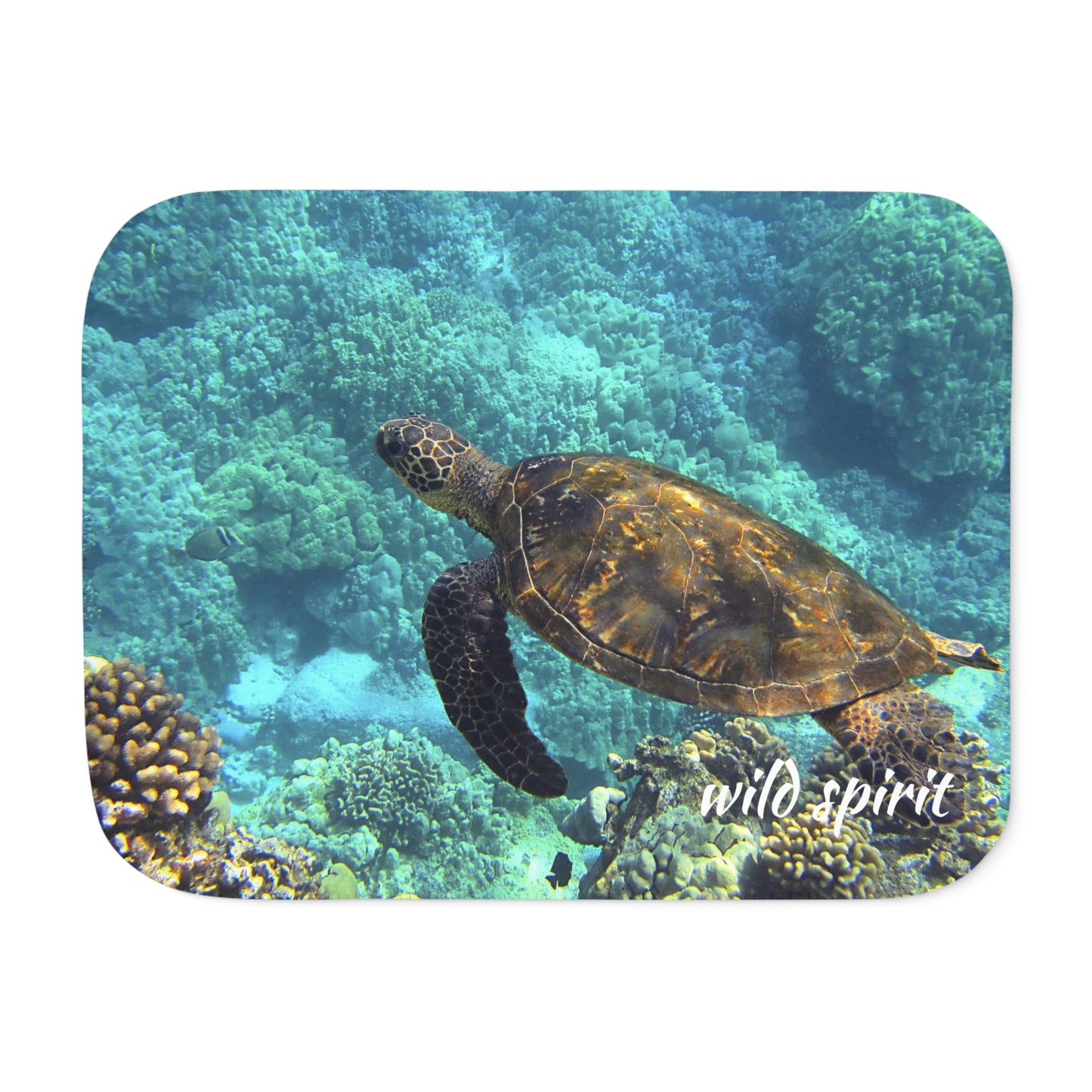 Sherpa Blanket, Sea Turtle Design