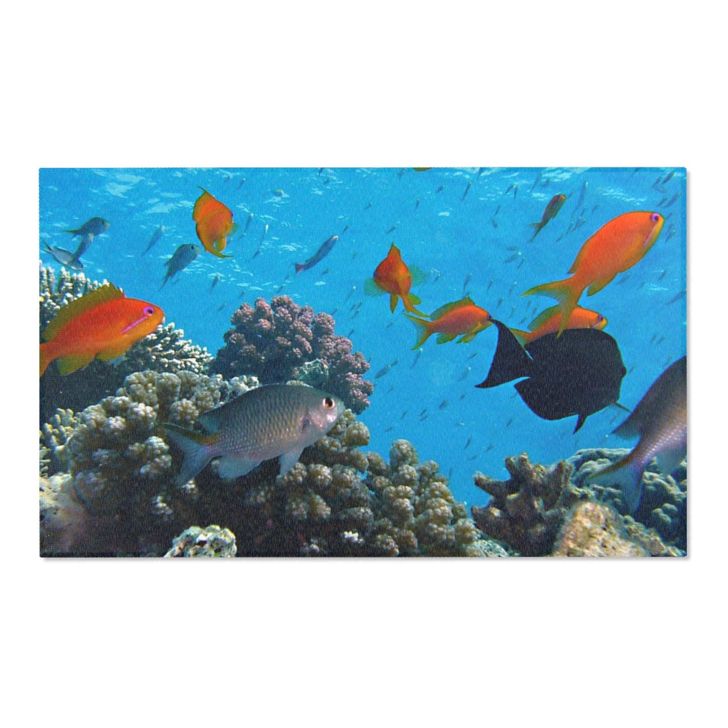 Underwater Aquatic Area Rug - Ocean Fish Design for Coastal Decor