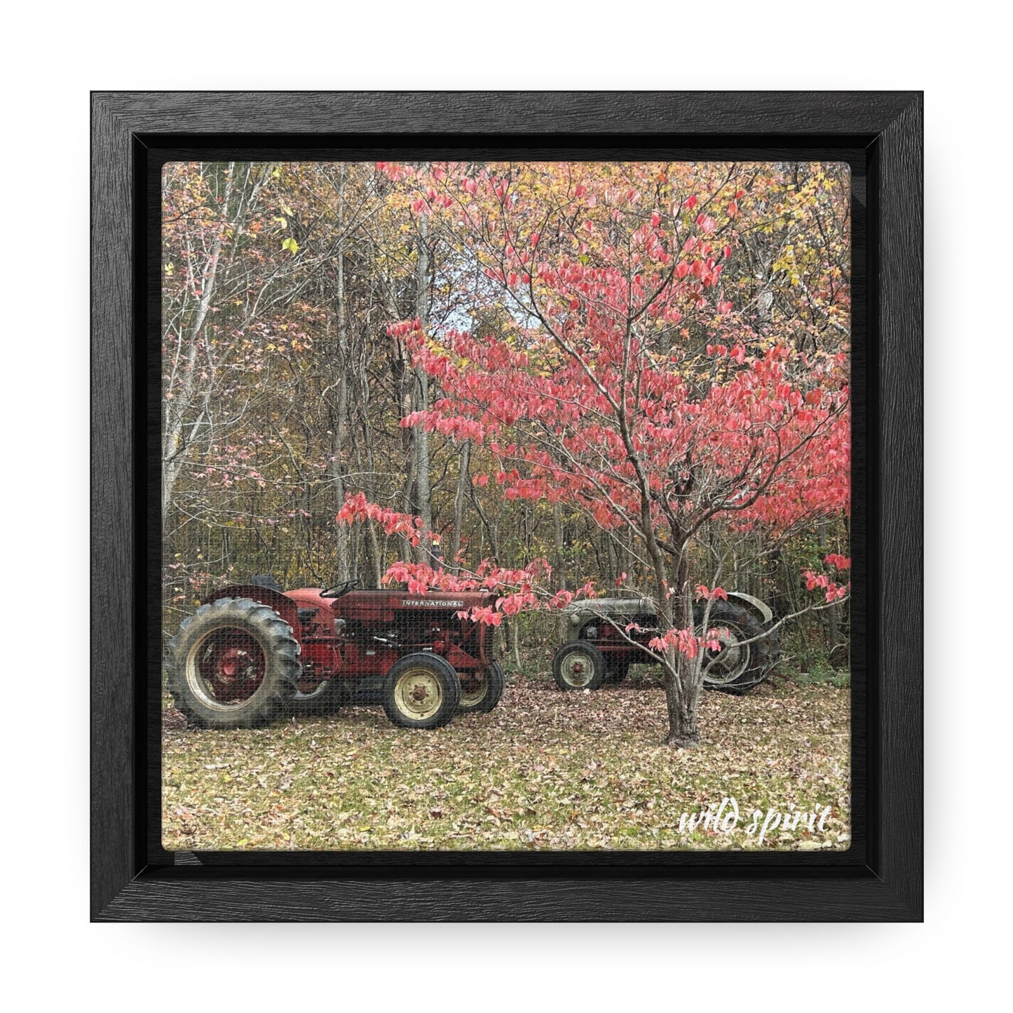 Canvas Wraps Tractors at Woodlands Edge