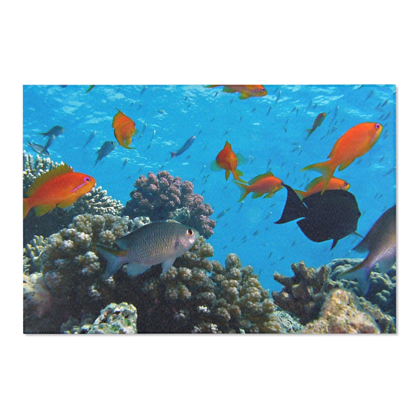 Underwater Aquatic Area Rug - Ocean Fish Design for Coastal Decor