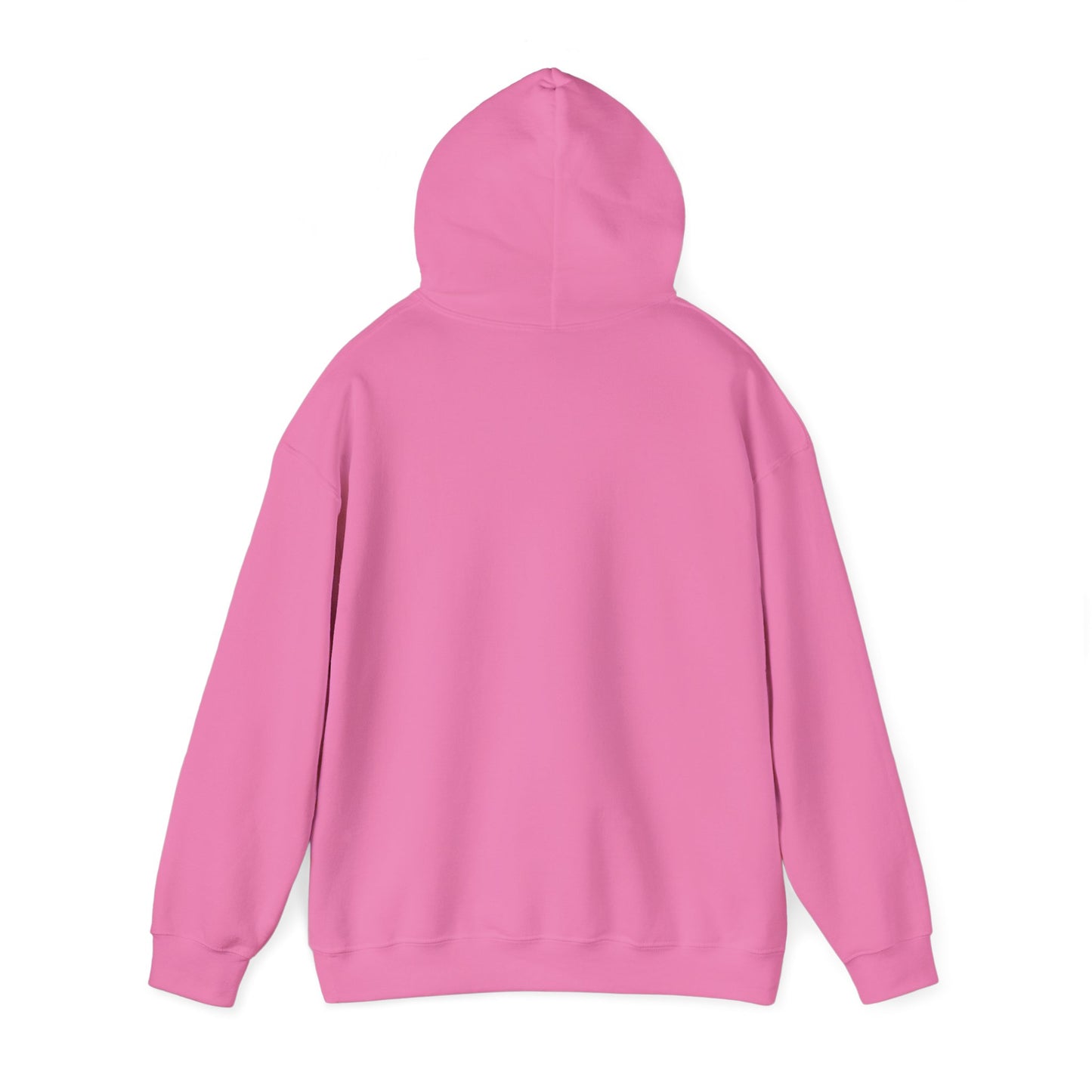 Mountain Paths - Hooded Sweatshirt