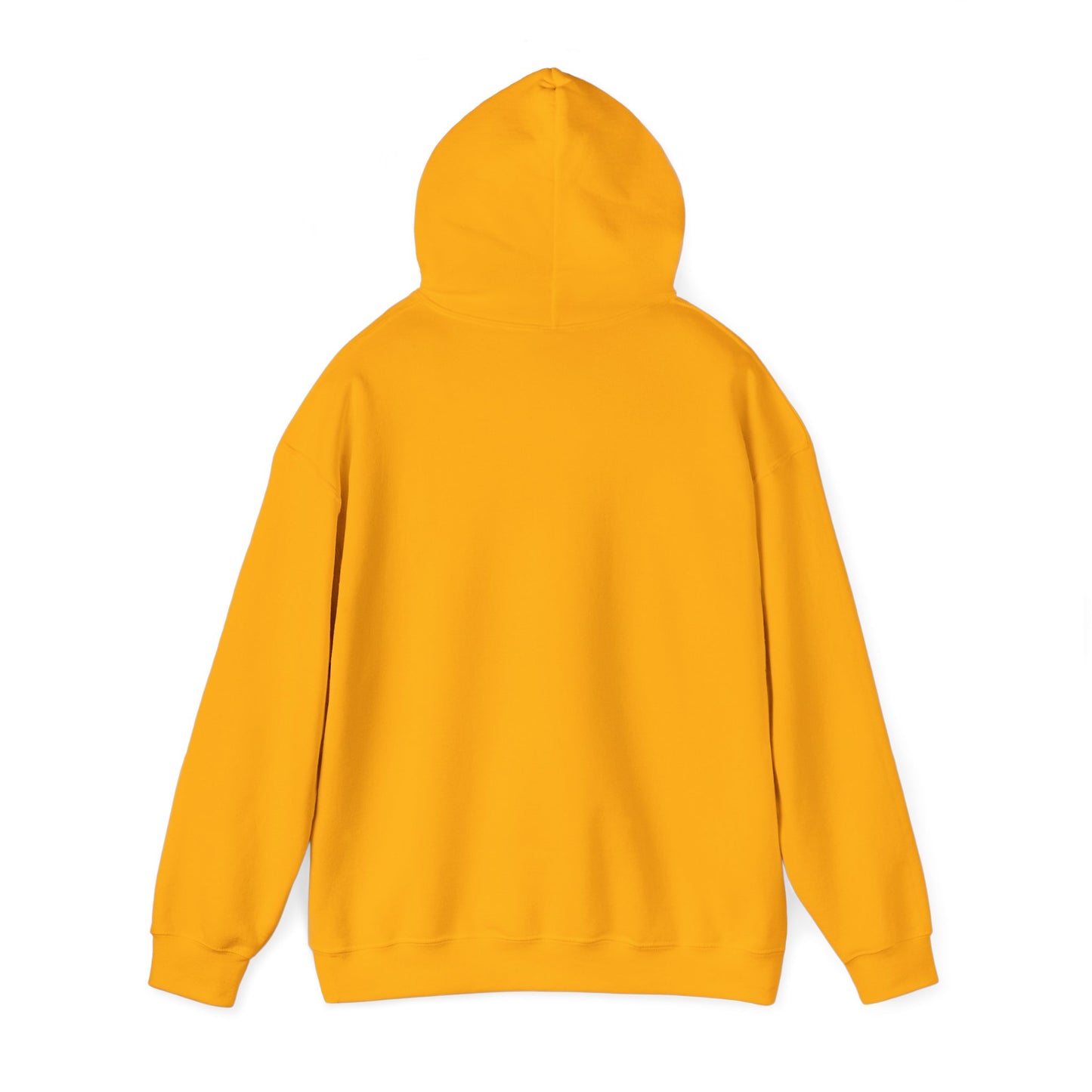 Mountain Paths - Hooded Sweatshirt