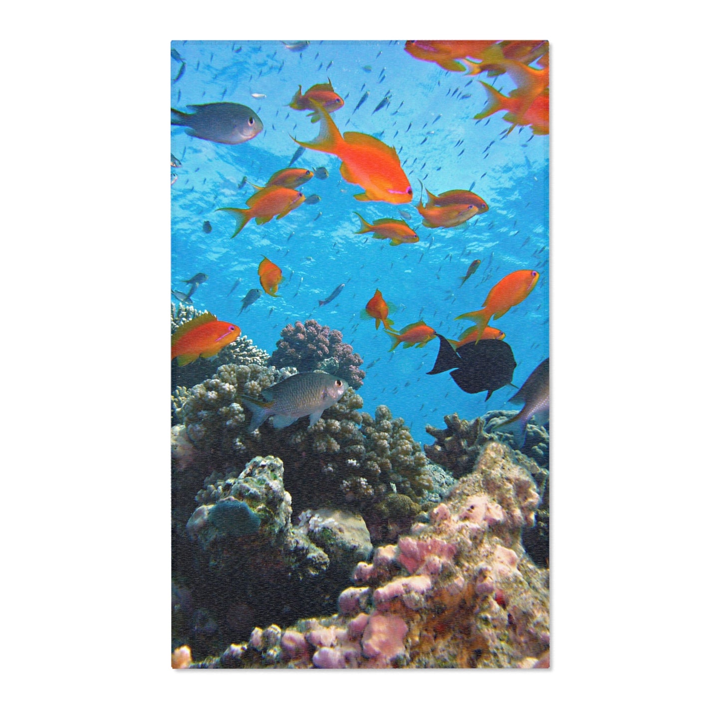 Underwater Aquatic Area Rug - Ocean Fish Design for Coastal Decor