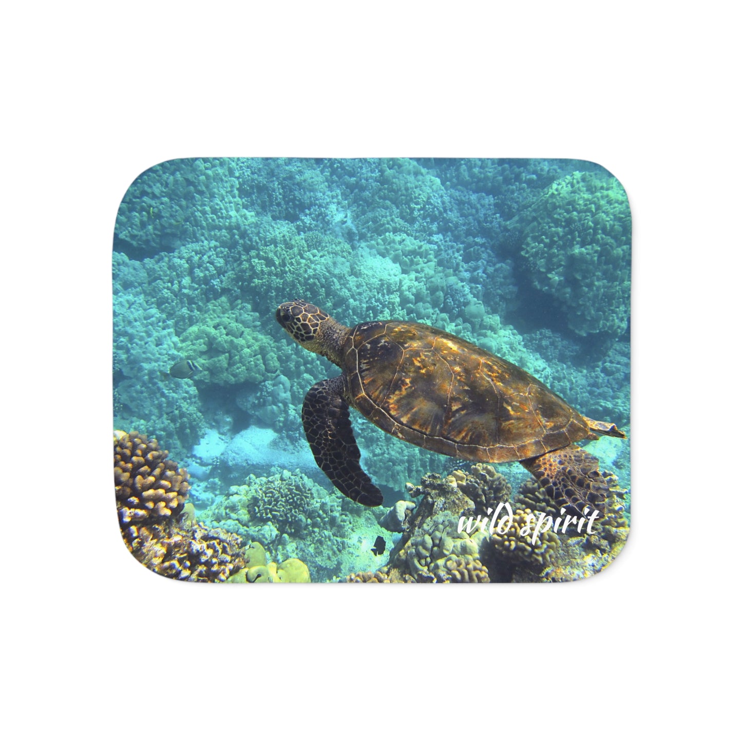 Sherpa Blanket, Sea Turtle Design