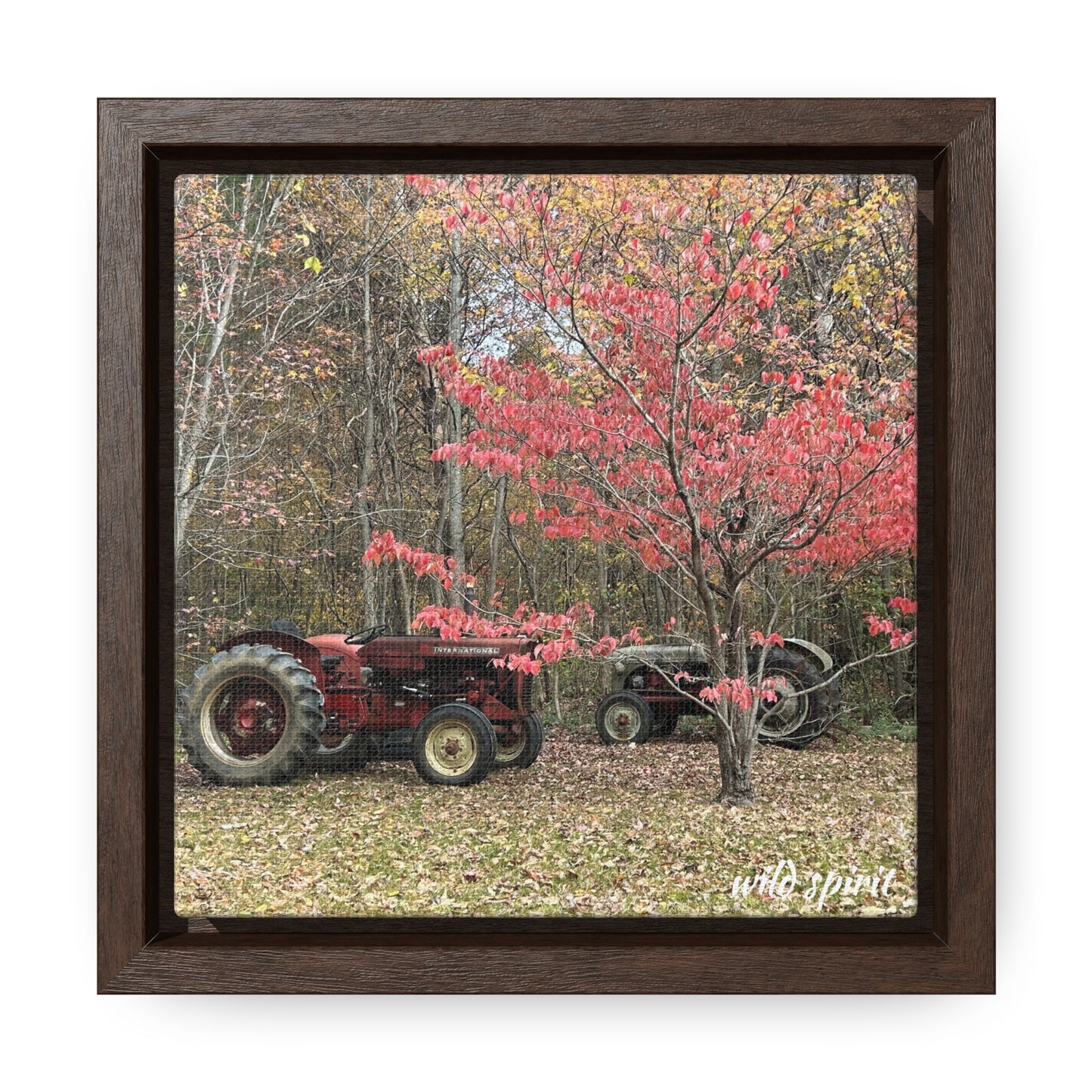 Canvas Wraps Tractors at Woodlands Edge