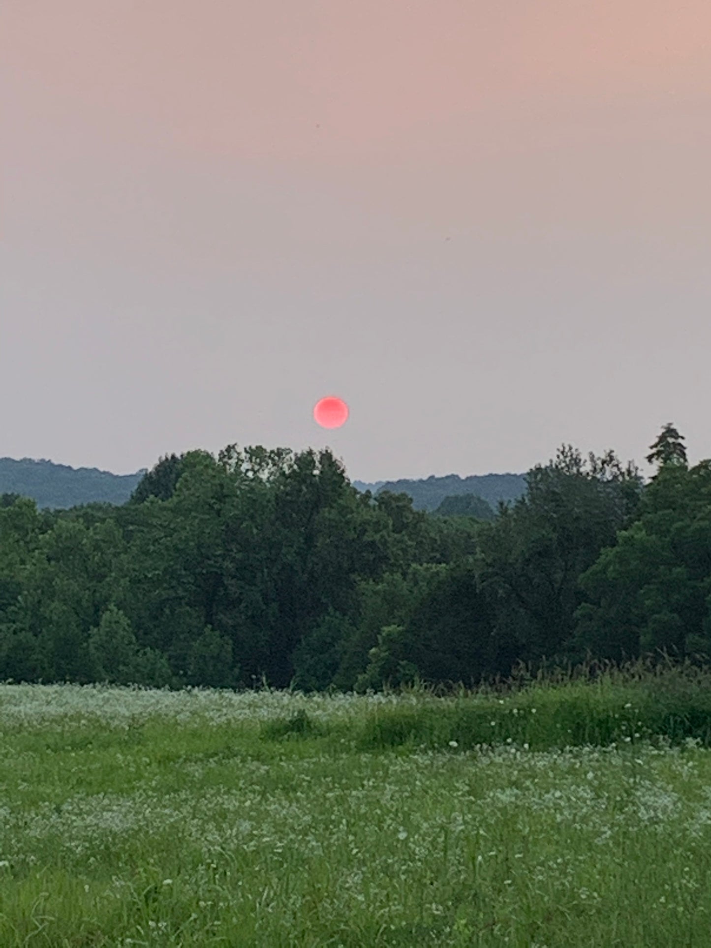 Crimson moon