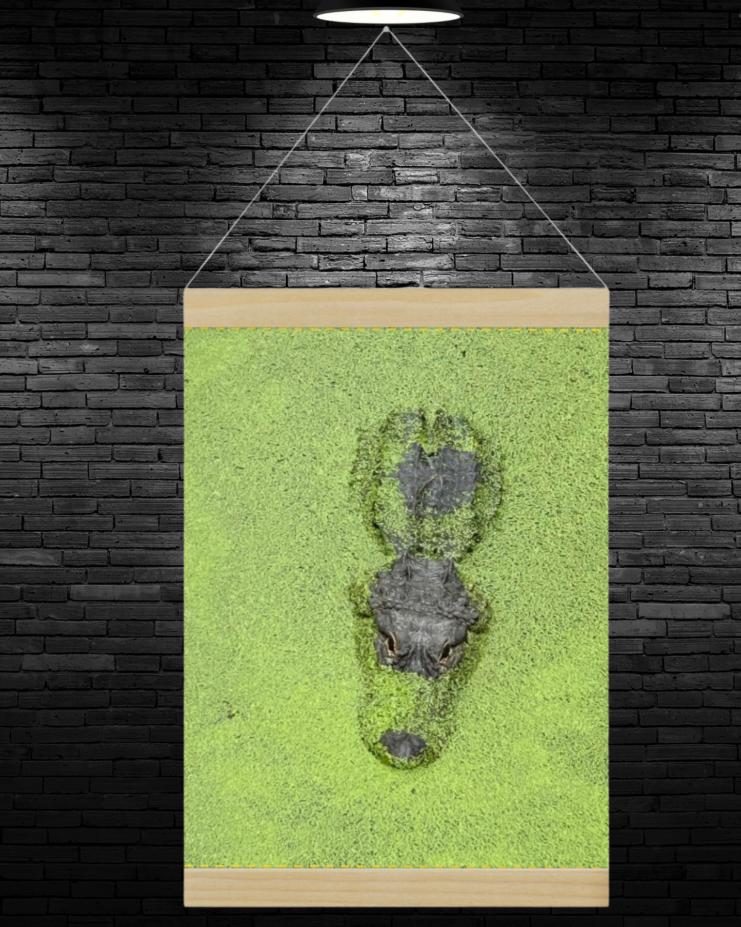 swamp land