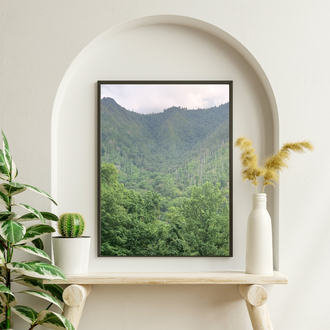 Art prints