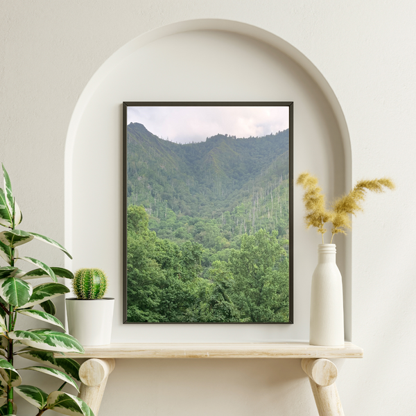 Art prints