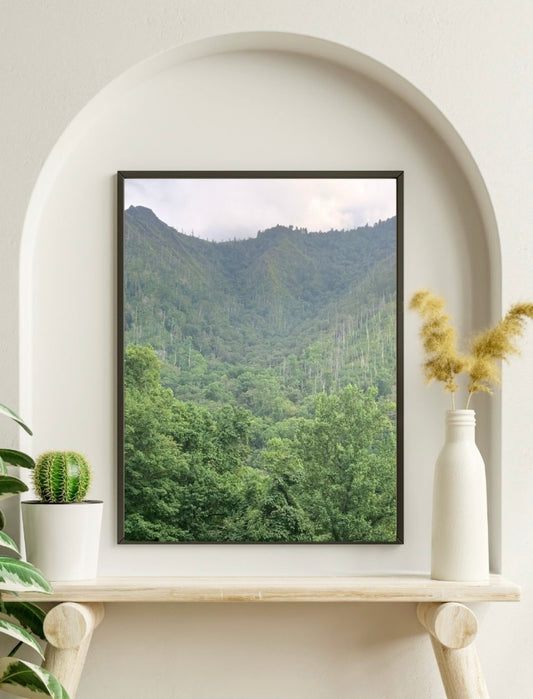 “Sanctuary of Creation – Lush Mountain Valley Nature Wall Art”