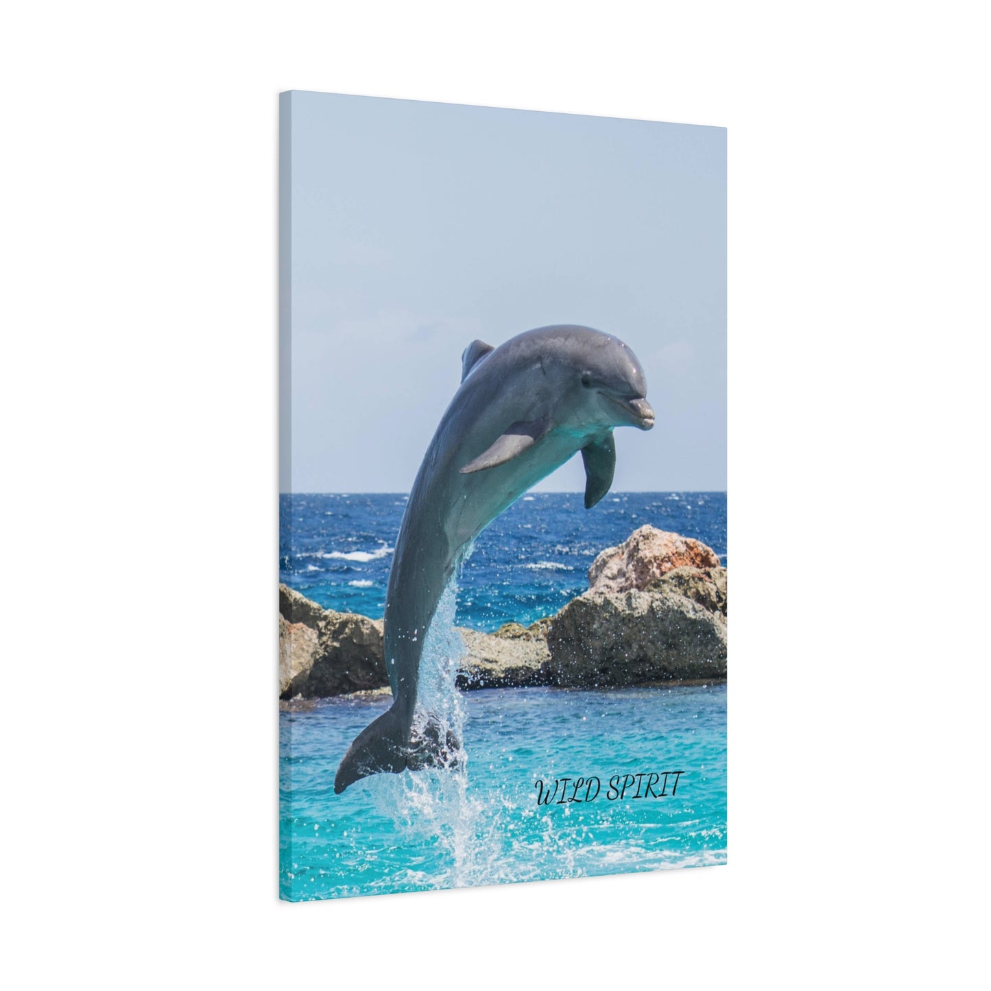 Canvas Print Dolphin Jumping Out of Water on Sunny Day