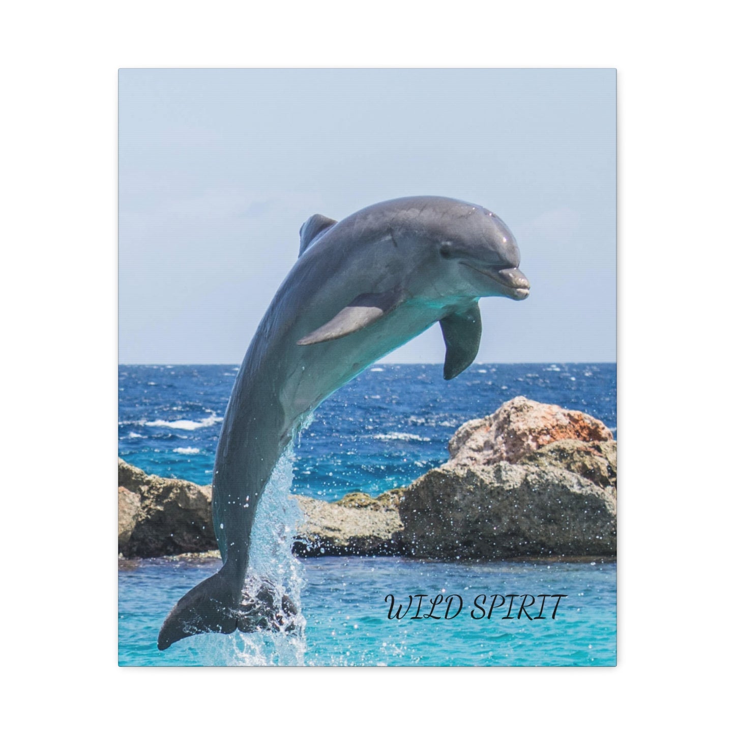 Canvas Print Dolphin Jumping Out of Water on Sunny Day