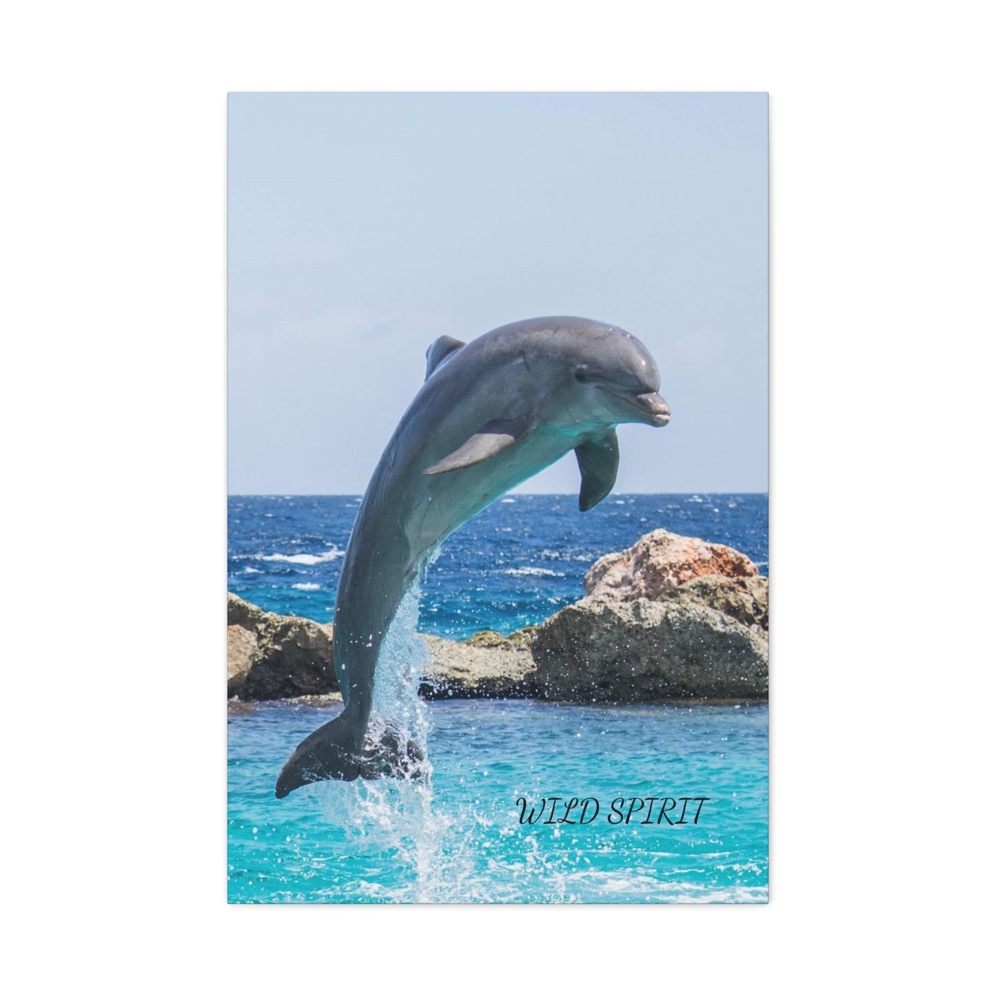 Canvas Print Dolphin Jumping Out of Water on Sunny Day