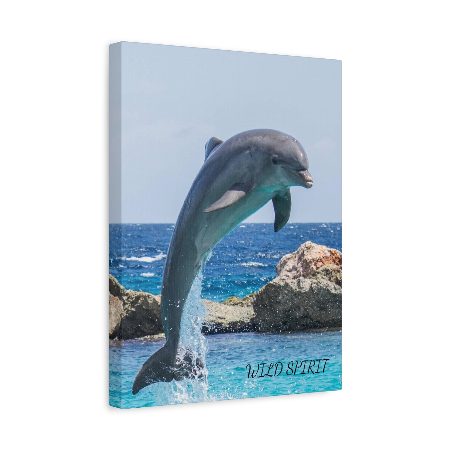 Canvas Print Dolphin Jumping Out of Water on Sunny Day