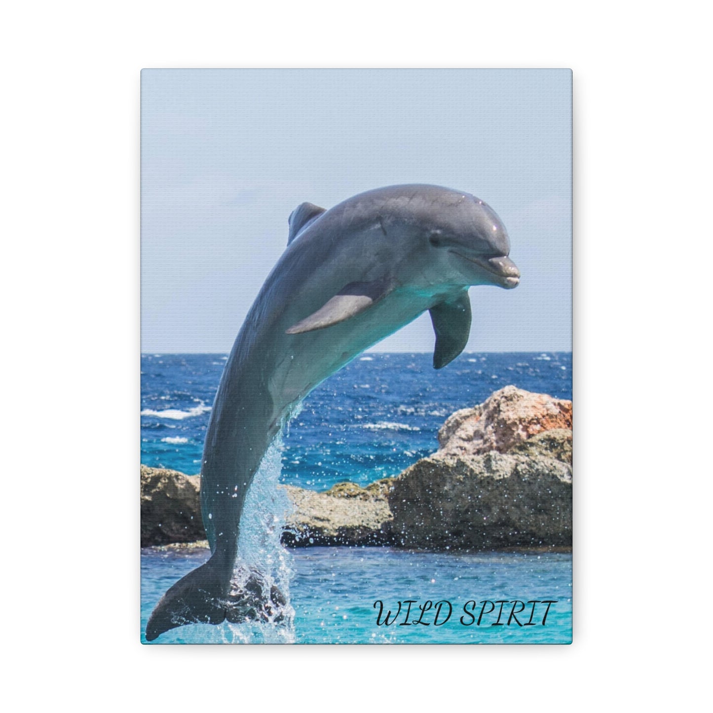 Canvas Print Dolphin Jumping Out of Water on Sunny Day