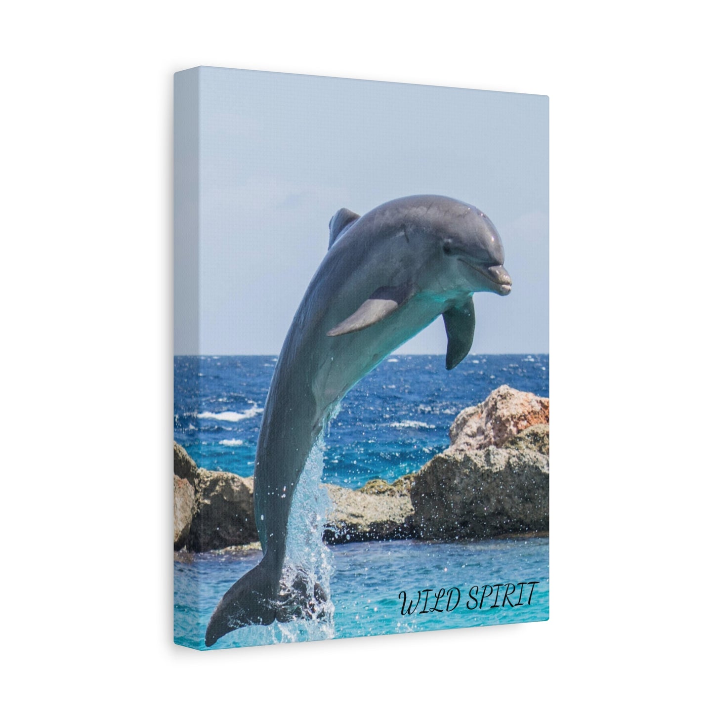 Canvas Print Dolphin Jumping Out of Water on Sunny Day