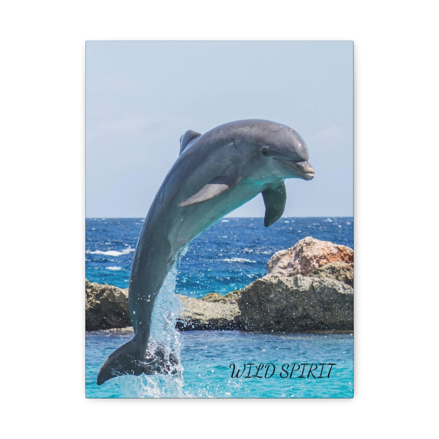 Canvas Print Dolphin Jumping Out of Water on Sunny Day