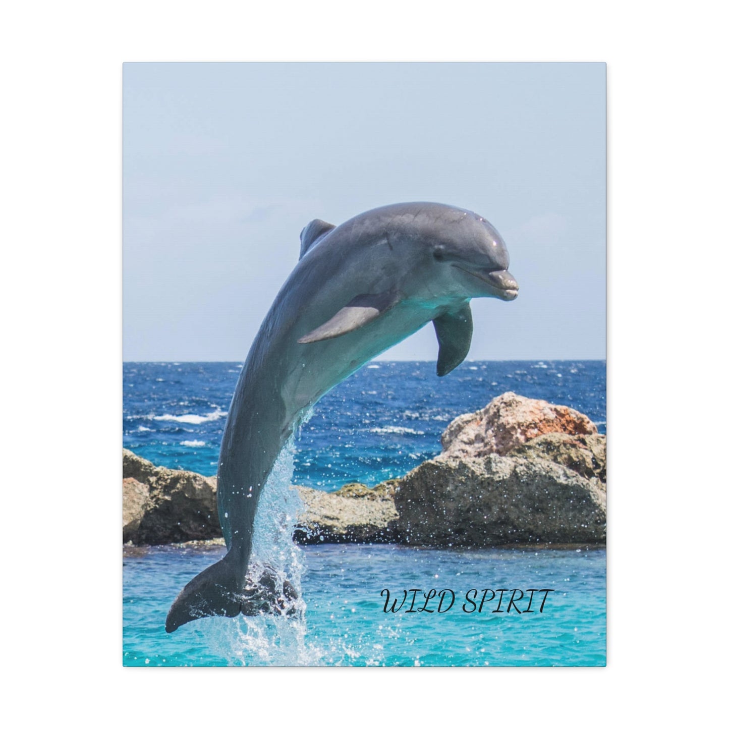 Canvas Print Dolphin Jumping Out of Water on Sunny Day