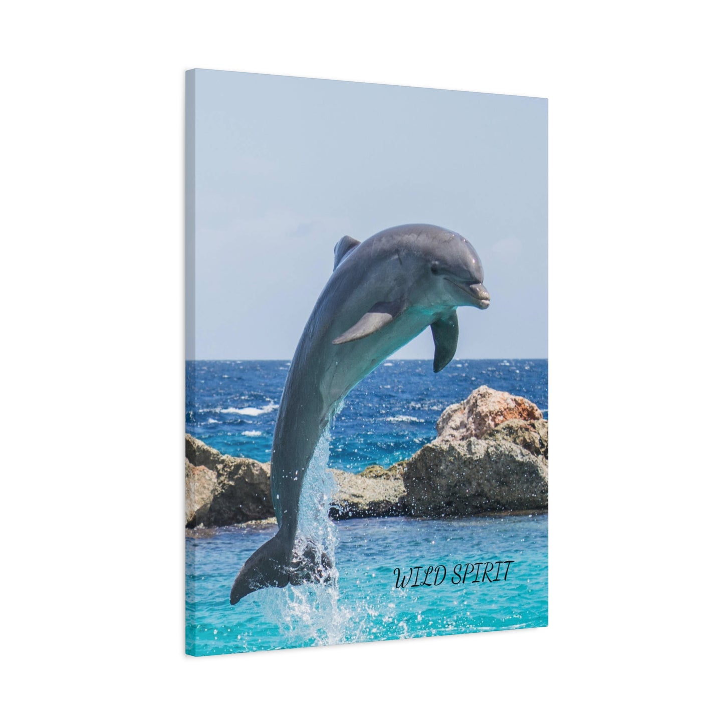 Canvas Print Dolphin Jumping Out of Water on Sunny Day