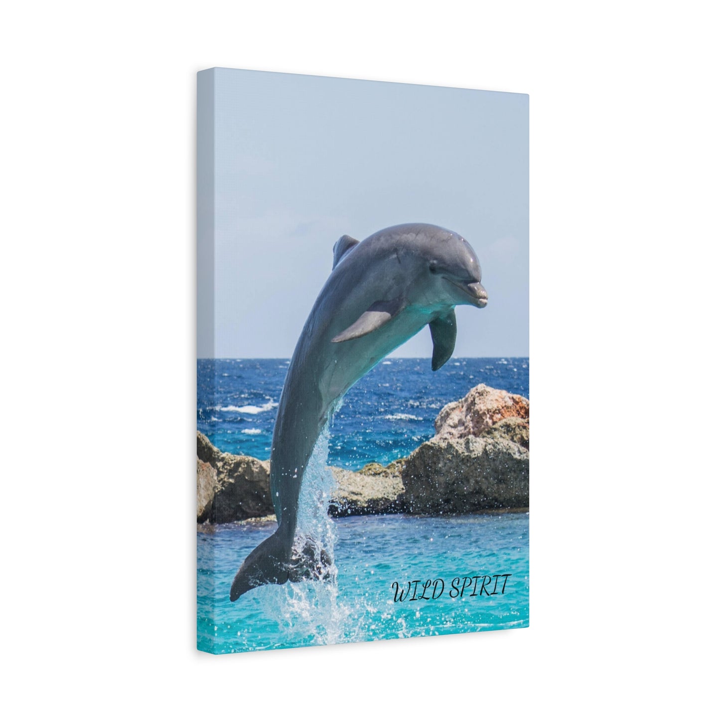 Canvas Print Dolphin Jumping Out of Water on Sunny Day