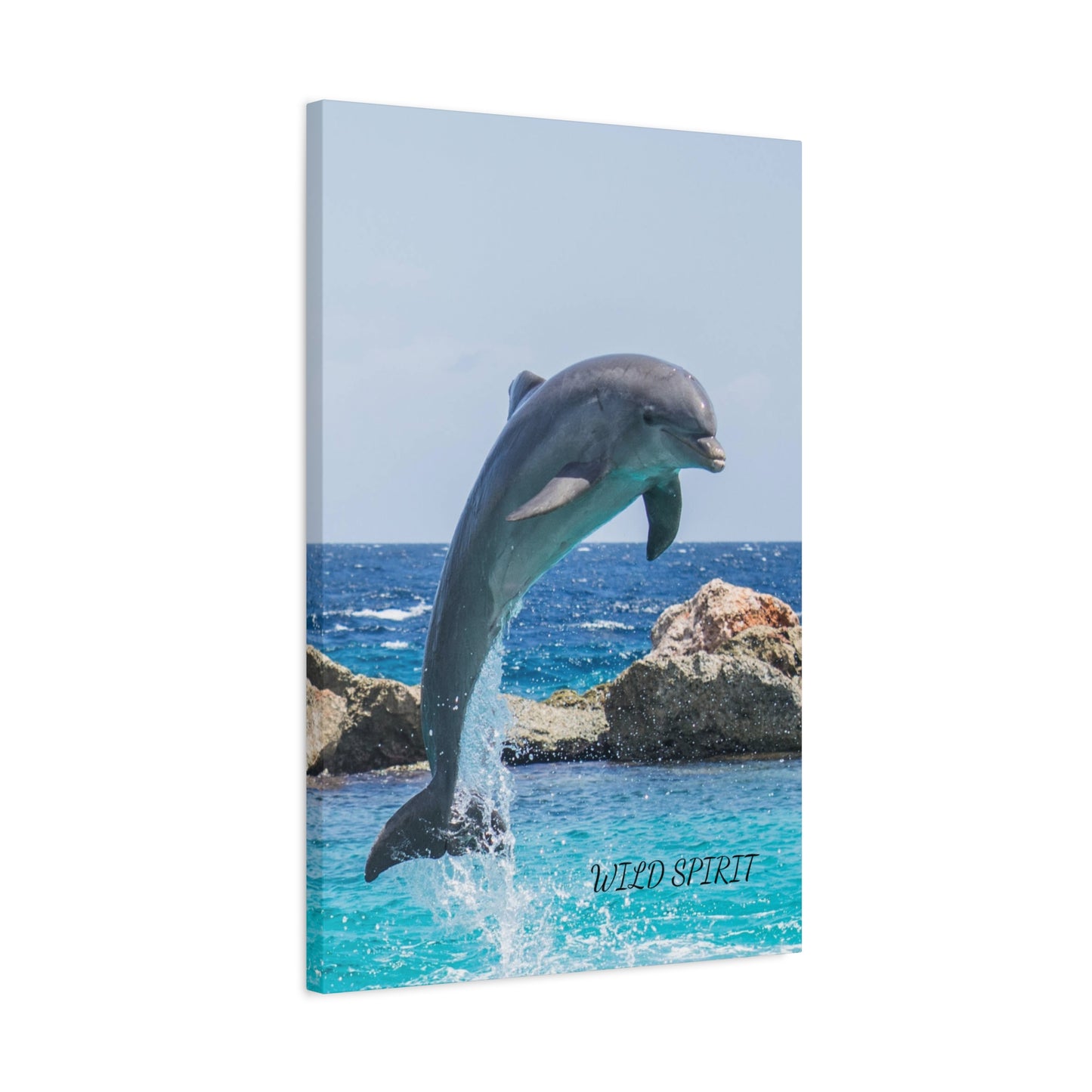 Canvas Print Dolphin Jumping Out of Water on Sunny Day