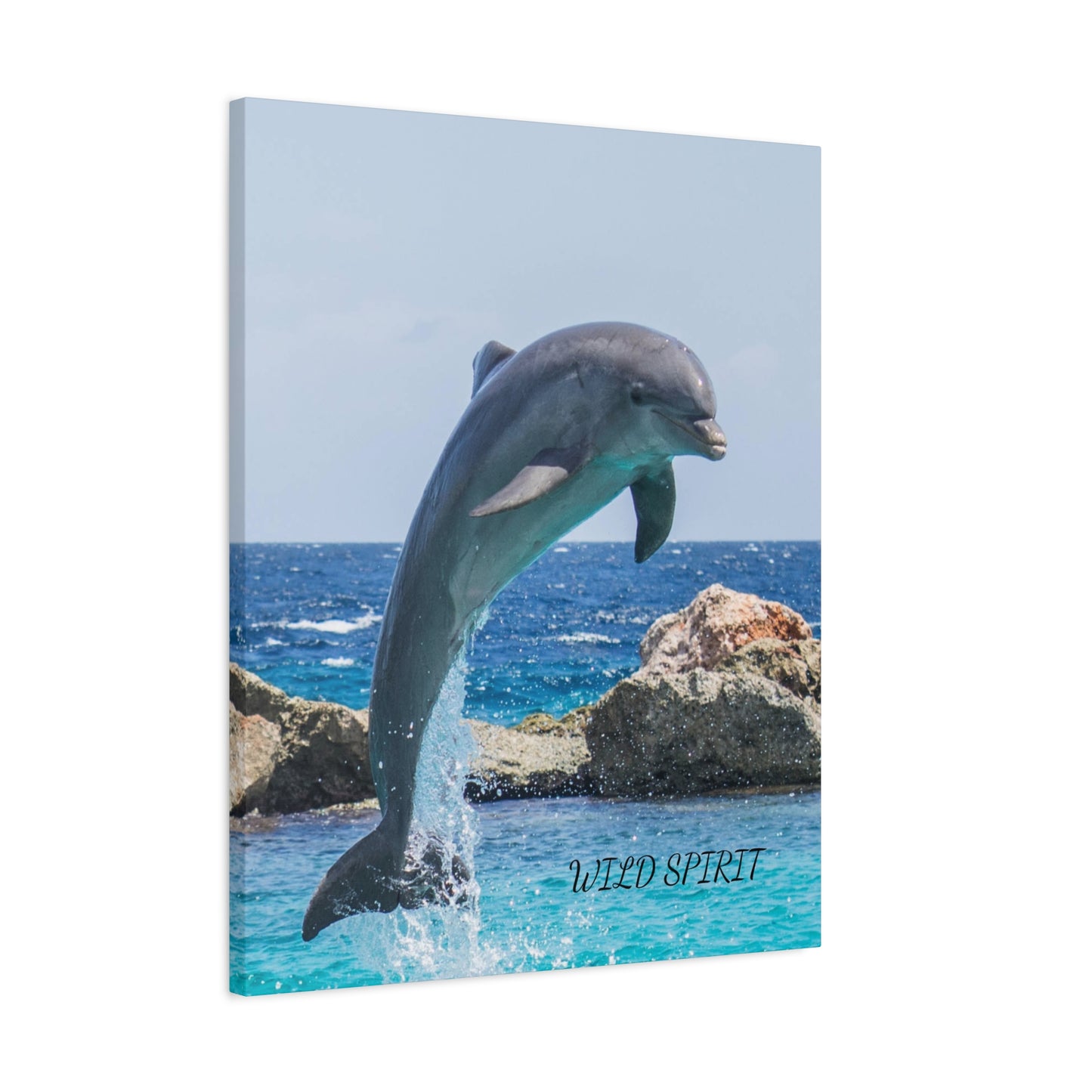 Canvas Print Dolphin Jumping Out of Water on Sunny Day