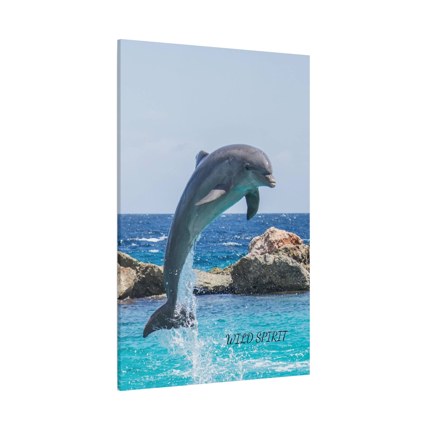 Canvas Print Dolphin Jumping Out of Water on Sunny Day