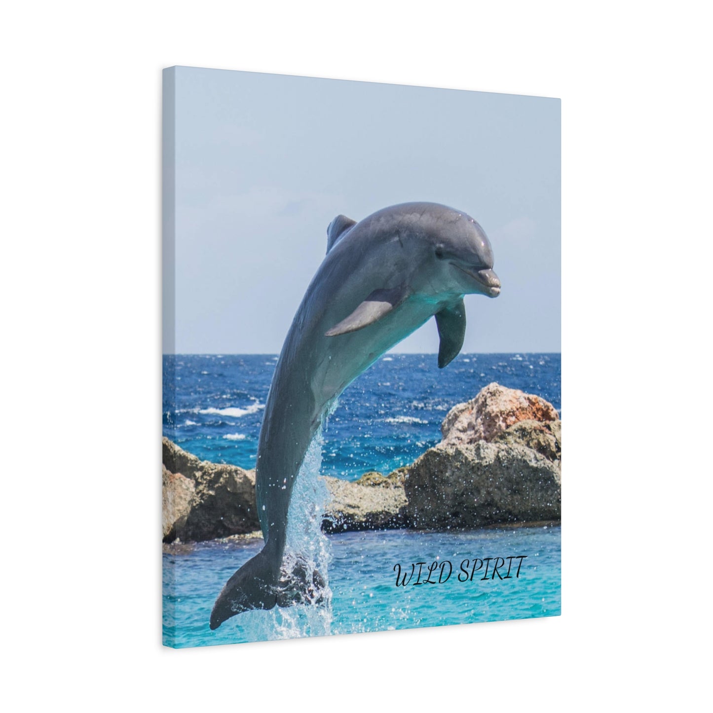 Canvas Print Dolphin Jumping Out of Water on Sunny Day