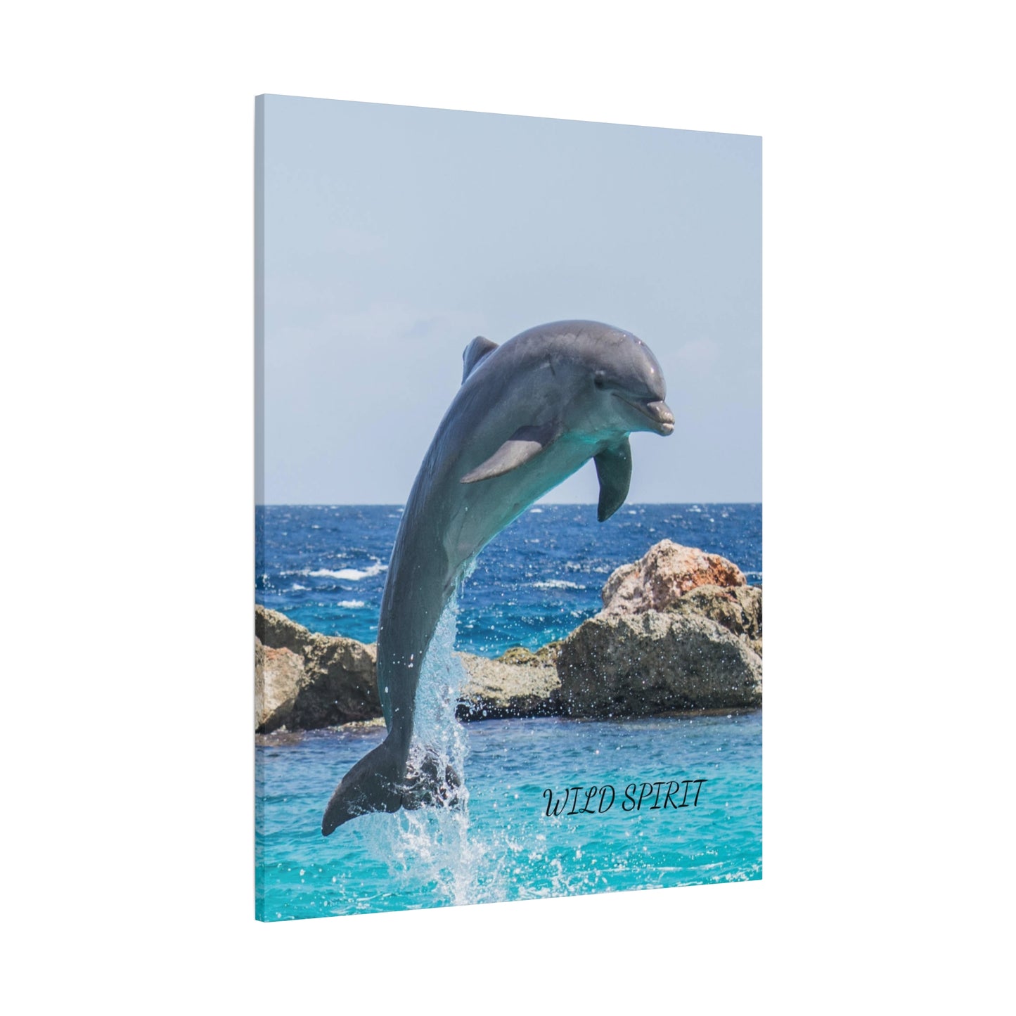 Canvas Print Dolphin Jumping Out of Water on Sunny Day