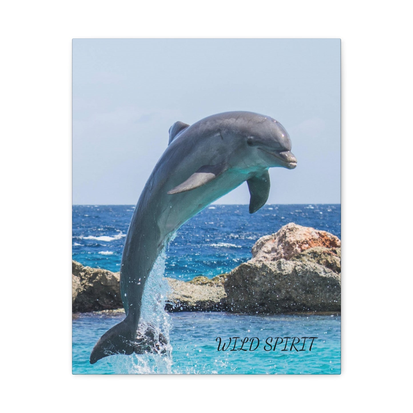 Canvas Print Dolphin Jumping Out of Water on Sunny Day