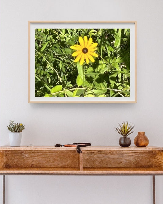 Golden Meadow Glow – Yellow Daisy Nature Print