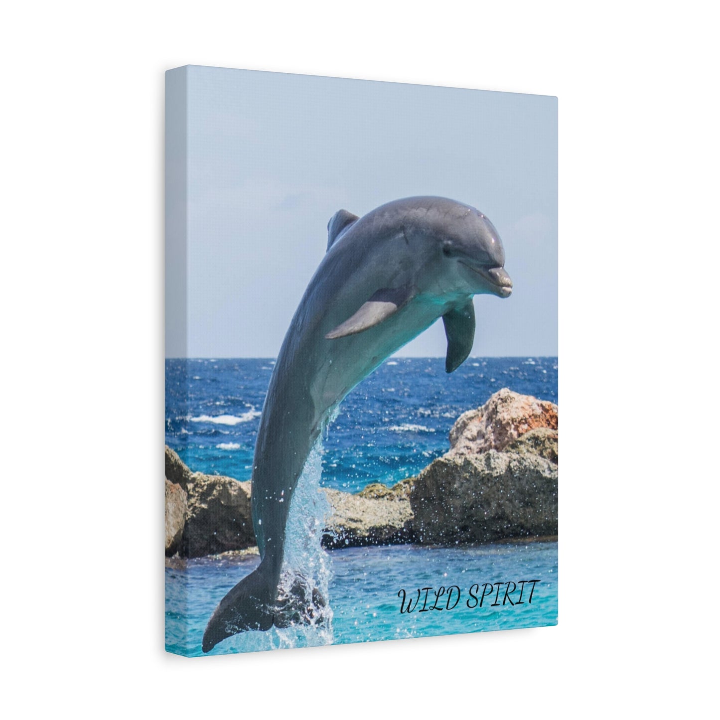 Canvas Print Dolphin Jumping Out of Water on Sunny Day