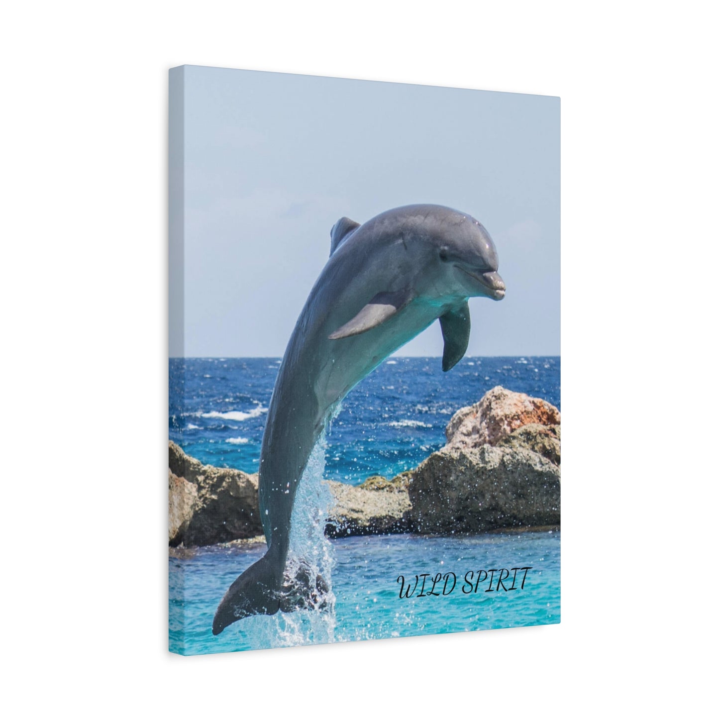 Canvas Print Dolphin Jumping Out of Water on Sunny Day