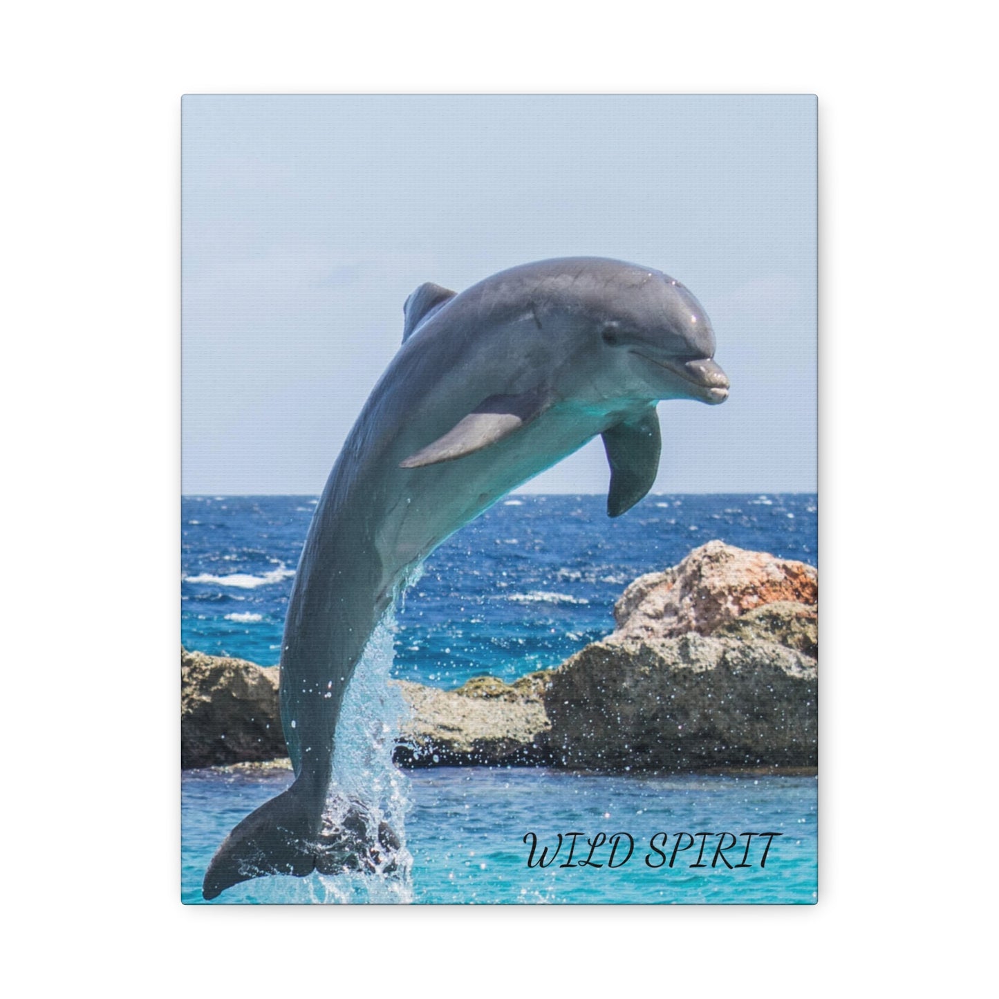 Canvas Print Dolphin Jumping Out of Water on Sunny Day