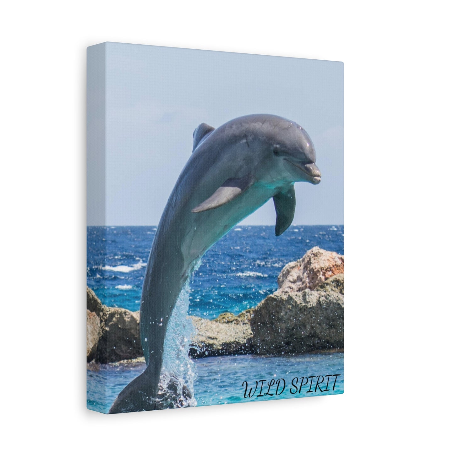 Canvas Print Dolphin Jumping Out of Water on Sunny Day