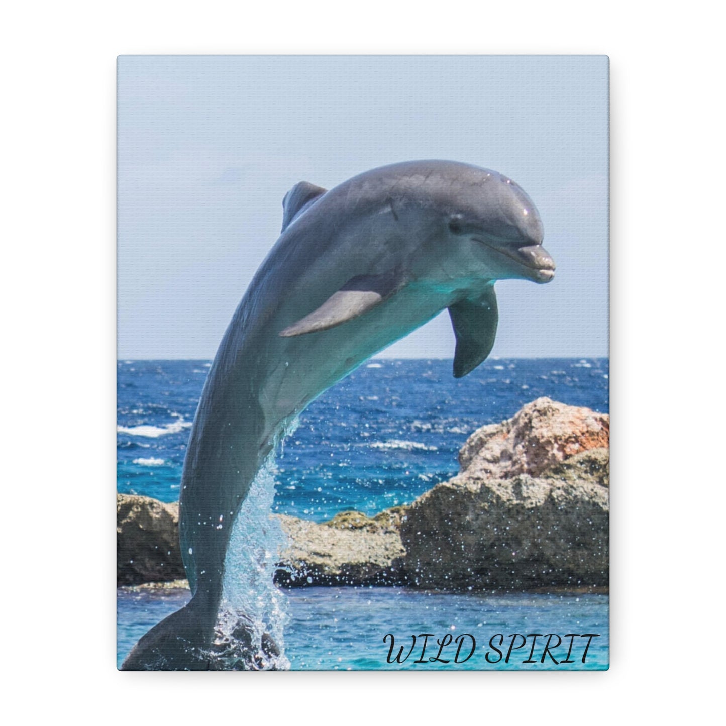 Canvas Print Dolphin Jumping Out of Water on Sunny Day