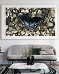 Blue Butterfly on Gravel | Beauty in God’s Creation