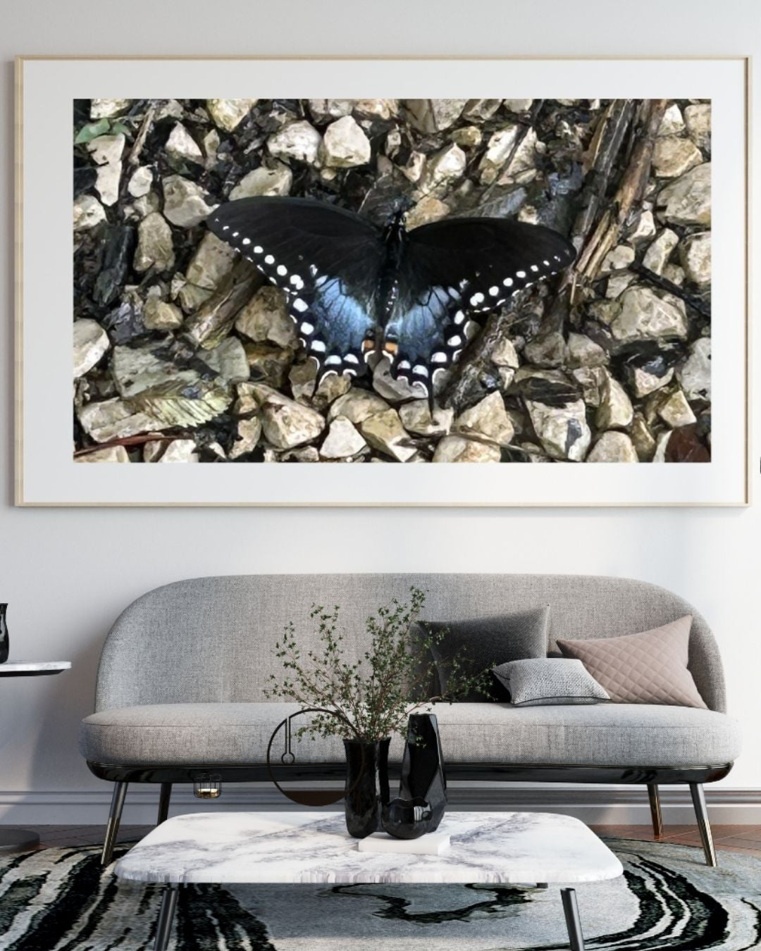 Blue Butterfly on Gravel | Beauty in God’s Creation