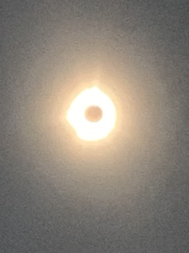 Persiguiendo sombras: El eclipse solar de 2024 a través del lente de la naturaleza