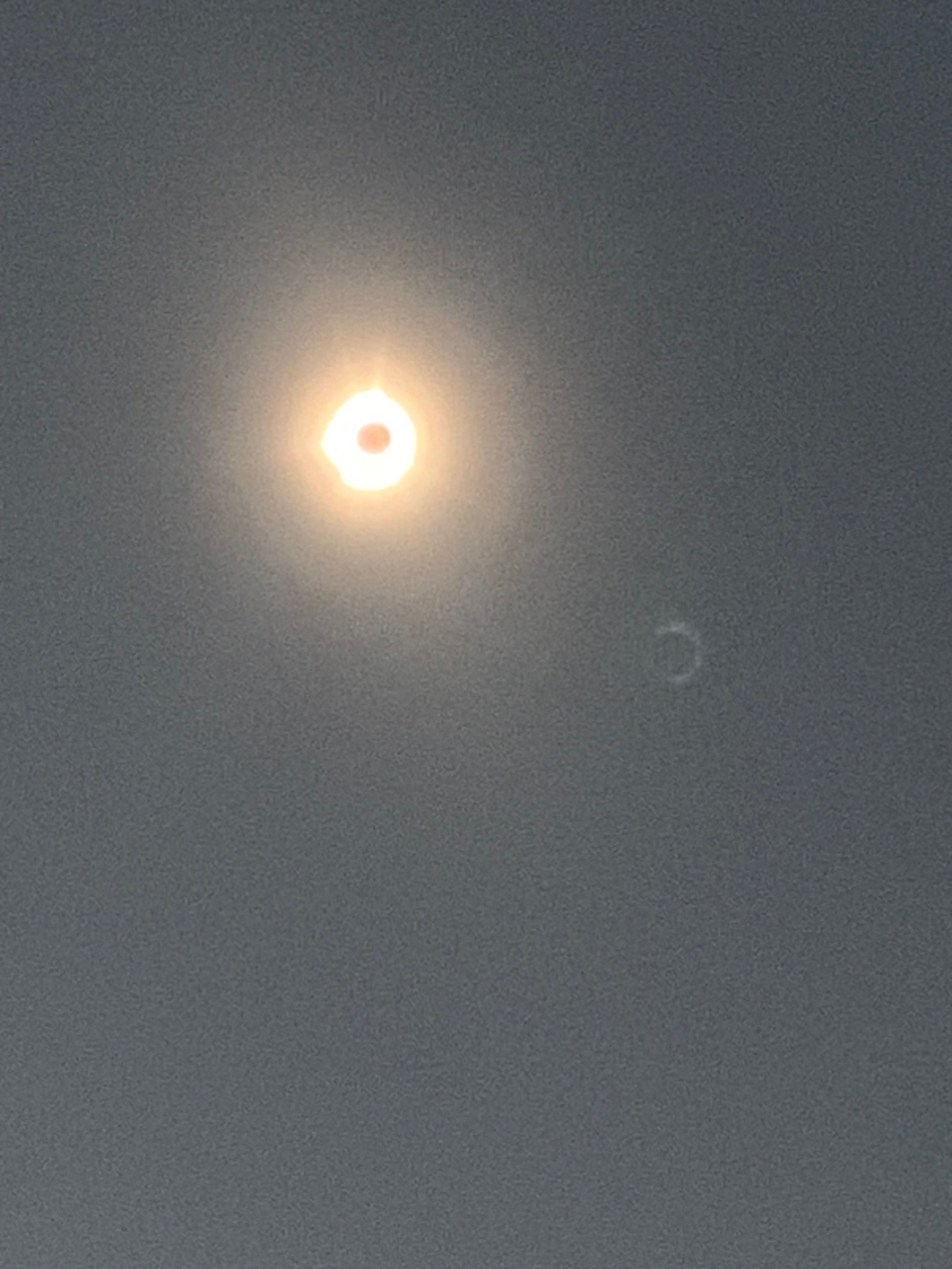Persiguiendo sombras: El eclipse solar de 2024 a través del lente de la naturaleza