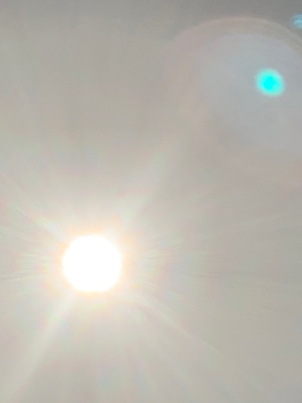 Persiguiendo sombras: El eclipse solar de 2024 a través del lente de la naturaleza