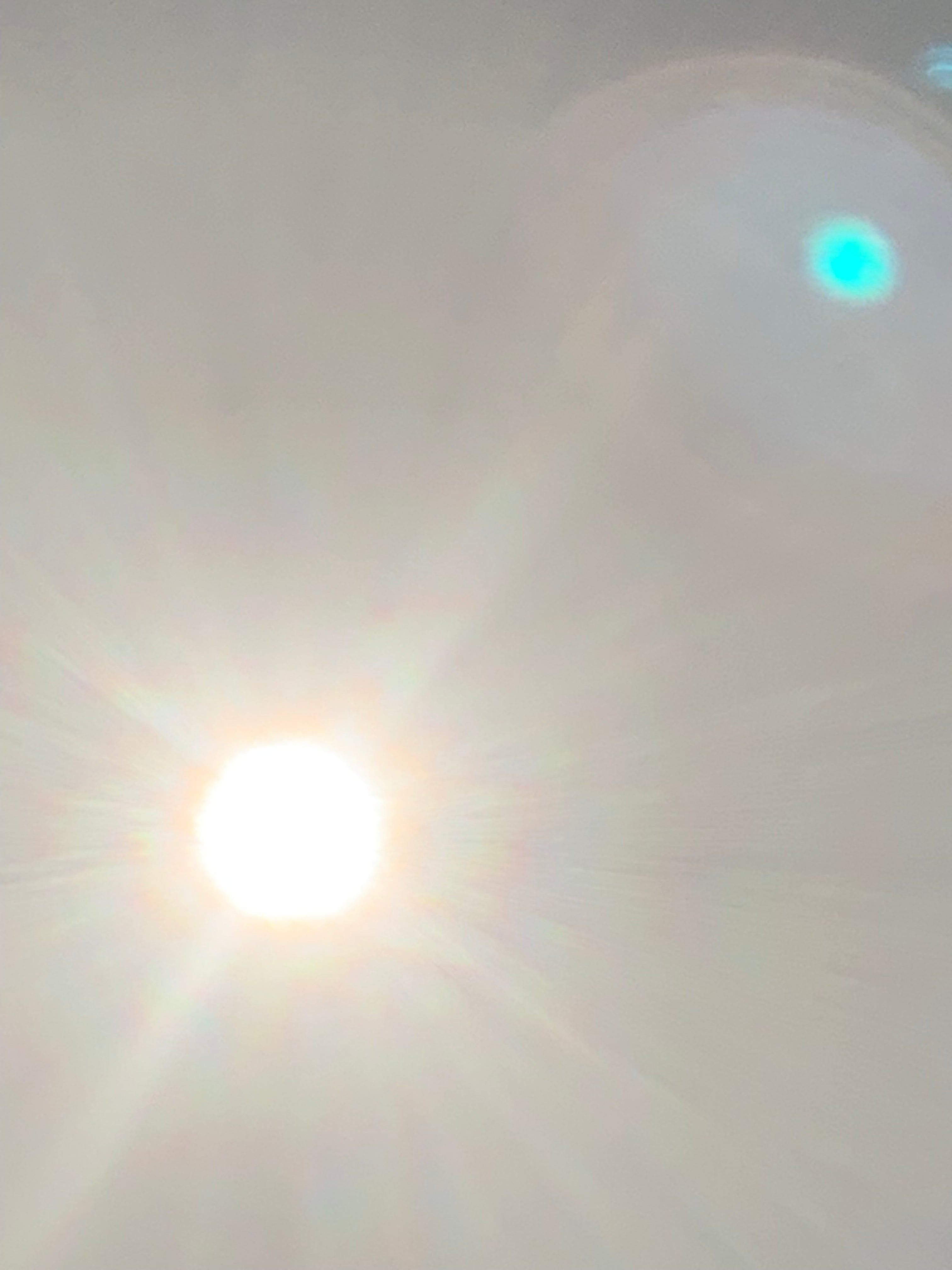 Persiguiendo sombras: El eclipse solar de 2024 a través del lente de la naturaleza