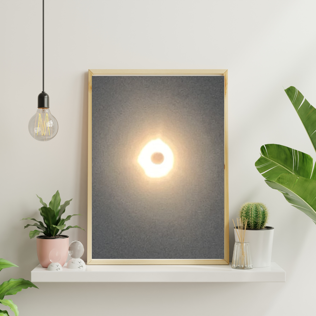Persiguiendo sombras: El eclipse solar de 2024 a través del lente de la naturaleza